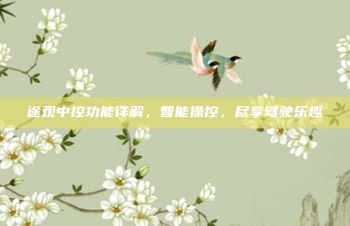 途观中控功能详解，智能操控，尽享驾驶乐趣