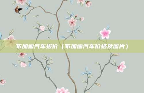 布加迪汽车报价（布加迪汽车价格及图片）