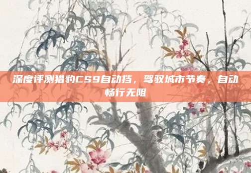 深度评测猎豹CS9自动挡,驾驭城市节奏,自动畅行无阻