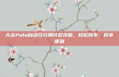 大众Polo自动挡分期付款攻略，轻松购车，尽享便利