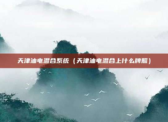 天津油电混合系统（天津油电混合上什么牌照）