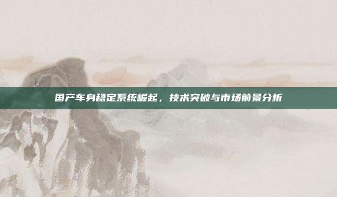 国产车身稳定系统崛起，技术突破与市场前景分析