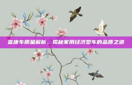 富康车质量解析,揭秘家用经济型车的品质之道