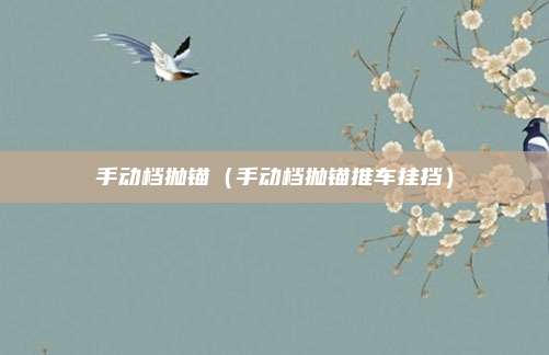 手动档抛锚（手动档抛锚推车挂挡）