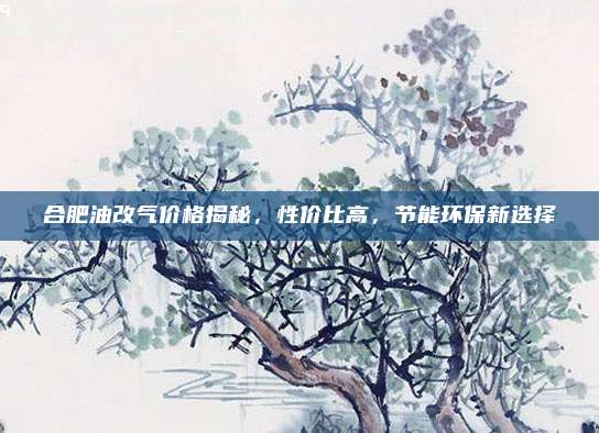 合肥油改气价格揭秘,性价比高,节能环保新选择