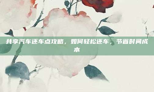 共享汽车还车点攻略,如何轻松还车,节省时间成本