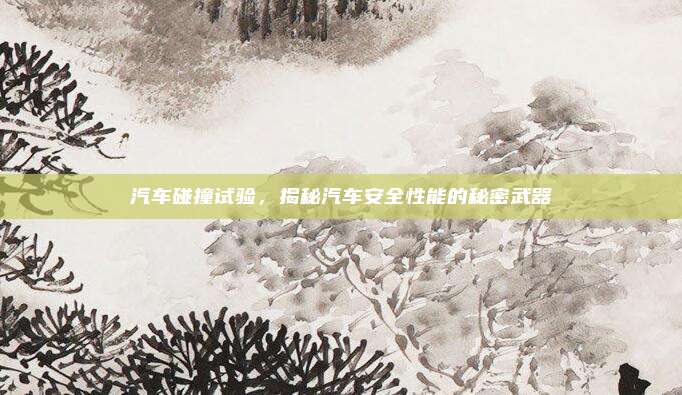 汽车碰撞试验，揭秘汽车安全性能的秘密武器
