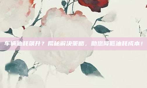车辆油耗飙升?揭秘解决策略,助您降低油耗成本!
