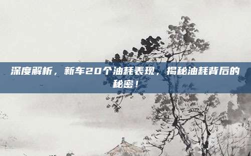 深度解析，新车20个油耗表现，揭秘油耗背后的秘密！