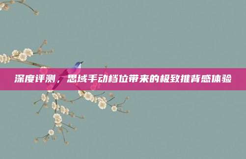 深度评测,思域手动档位带来的极致推背感体验