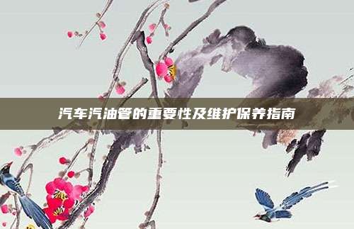 汽车汽油管的重要性及维护保养指南