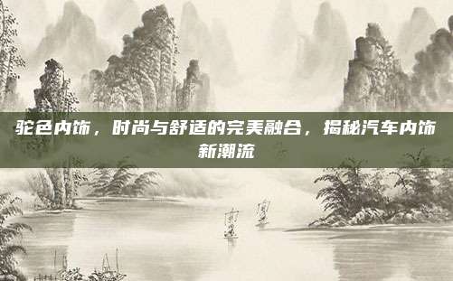 驼色内饰,时尚与舒适的完美融合,揭秘汽车内饰新潮流