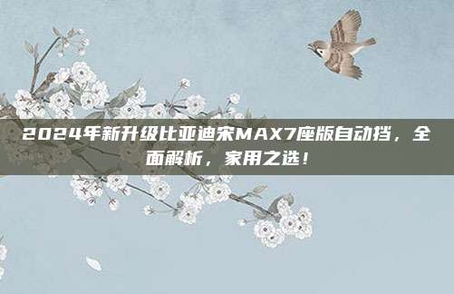 2024年新升级比亚迪宋MAX7座版自动挡,全面解析,家用之选!