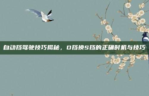 自动挡驾驶技巧揭秘,D挡换S挡的正确时机与技巧
