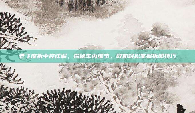 老飞度拆中控详解,揭秘车内细节,教你轻松掌握拆卸技巧