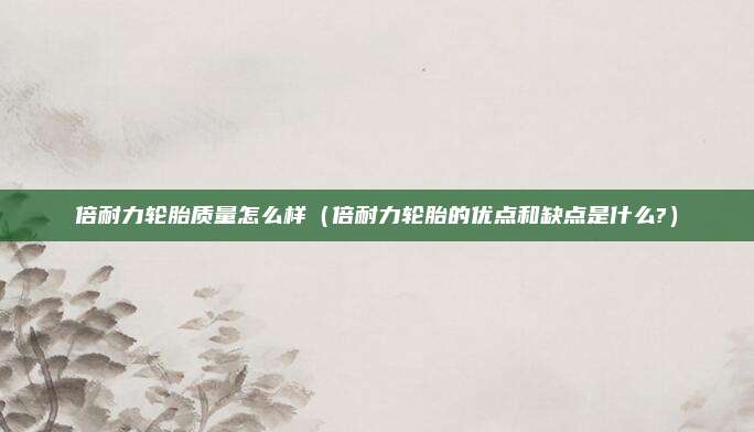 倍耐力轮胎质量怎么样（倍耐力轮胎的优点和缺点是什么?）