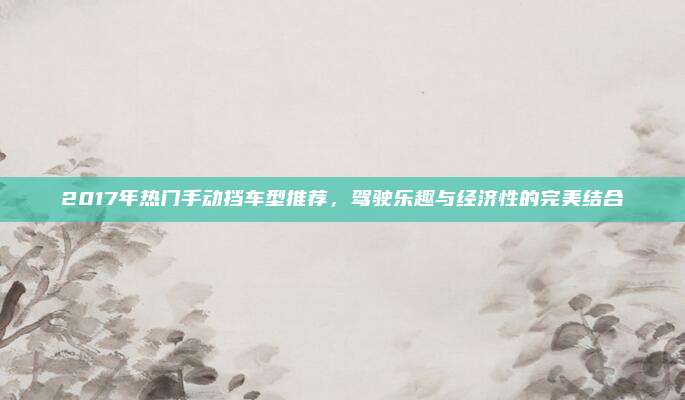 2017年热门手动挡车型推荐,驾驶乐趣与经济性的完美结合