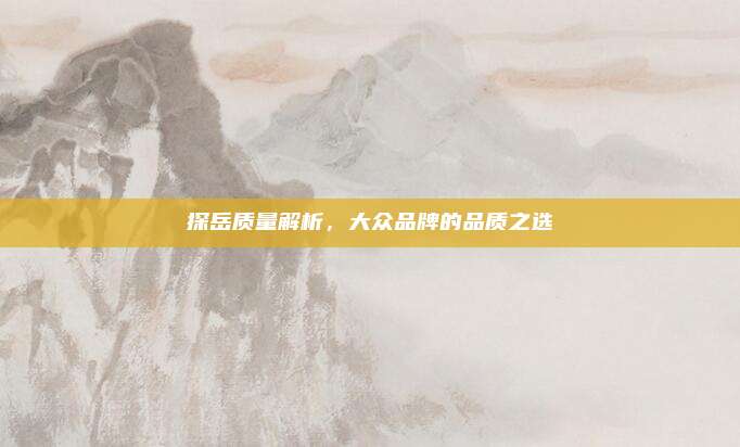 探岳质量解析,大众品牌的品质之选
