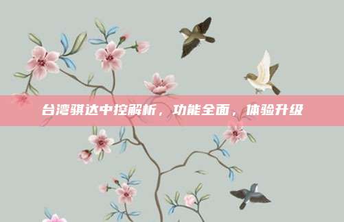 台湾骐达中控解析,功能全面,体验升级