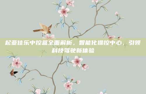 起亚佳乐中控盒全面解析,智能化操控中心,引领科技驾驶新体验