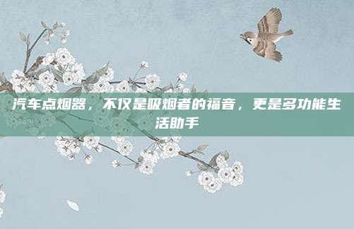 汽车点烟器,不仅是吸烟者的福音,更是多功能生活助手