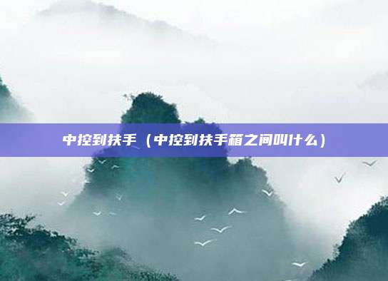 中控到扶手(中控到扶手箱之间叫什么)