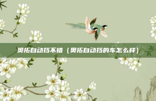 奥拓自动挡不错（奥拓自动挡的车怎么样）
