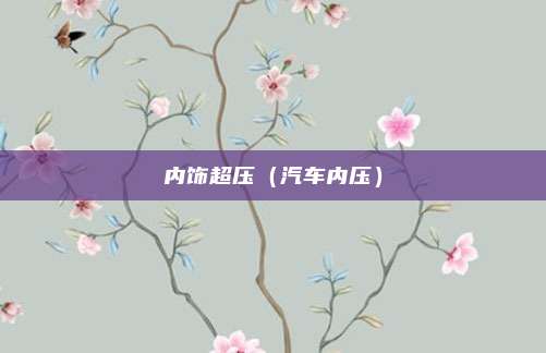 内饰超压（汽车内压）