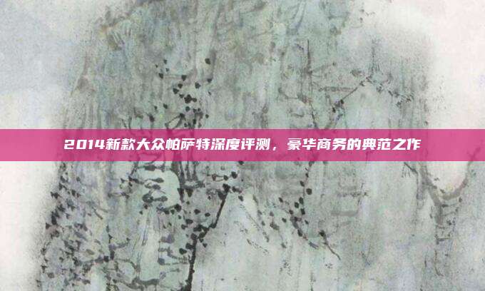 2014新款大众帕萨特深度评测,豪华商务的典范之作