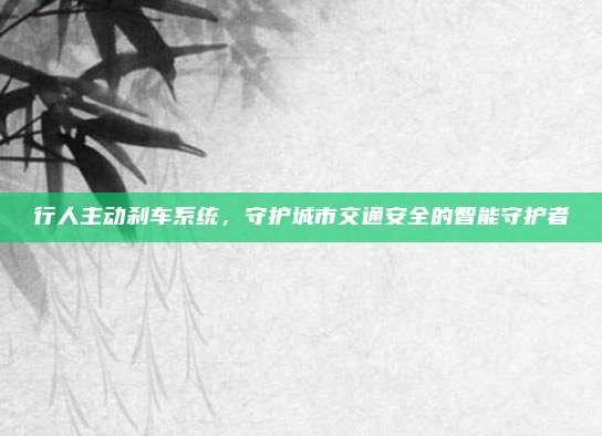 行人主动刹车系统,守护城市交通安全的智能守护者