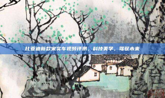 比亚迪新款宋实车视频评测,科技美学,驾驭未来
