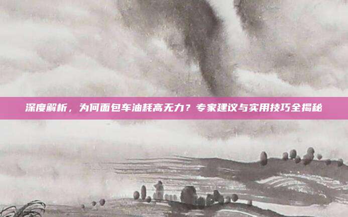 深度解析,为何面包车油耗高无力?专家建议与实用技巧全揭秘
