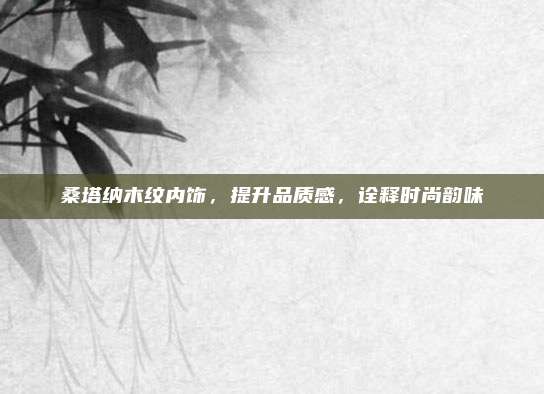 桑塔纳木纹内饰，提升品质感，诠释时尚韵味