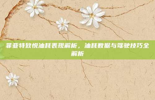 菲亚特致悦油耗表现解析,油耗数据与驾驶技巧全解析