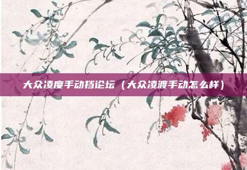 大众凌度手动挡论坛（大众凌渡手动怎么样）