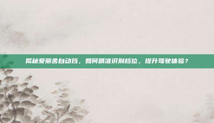 揭秘爱丽舍自动挡,如何精准识别档位,提升驾驶体验?