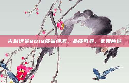 吉利远景2019质量评测,品质可靠,家用首选