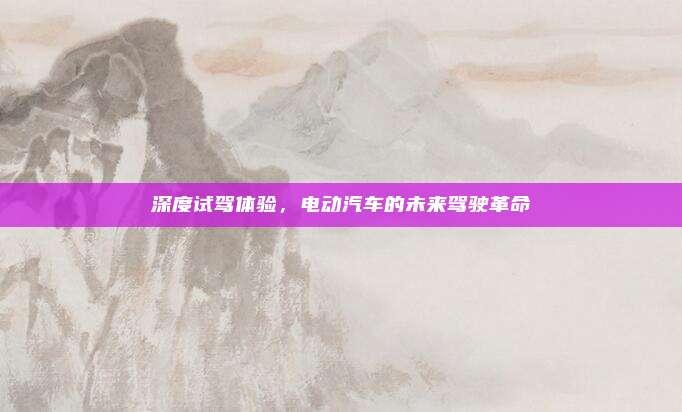 深度试驾体验,电动汽车的未来驾驶革命