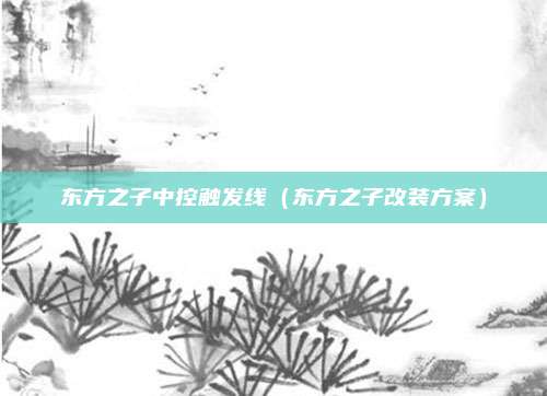 东方之子中控触发线(东方之子改装方案)