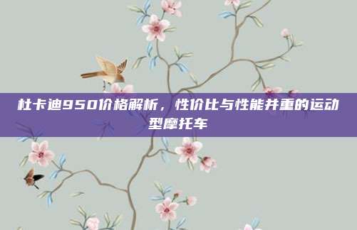 杜卡迪950价格解析,性价比与性能并重的运动型摩托车