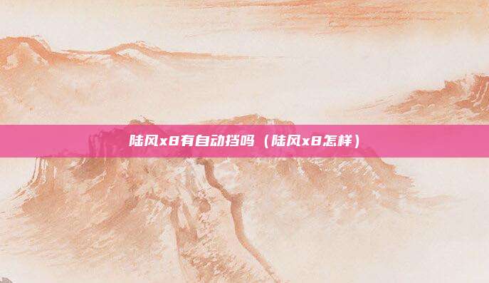 陆风x8有自动挡吗（陆风x8怎样）