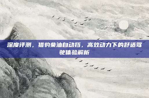 深度评测,猎豹柴油自动挡,高效动力下的舒适驾驶体验解析