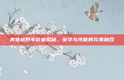 奔驰越野车价格揭秘,豪华与性能的完美融合