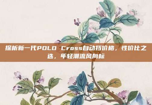 探析新一代POLO Cross自动挡价格，性价比之选，年轻潮流风向标
