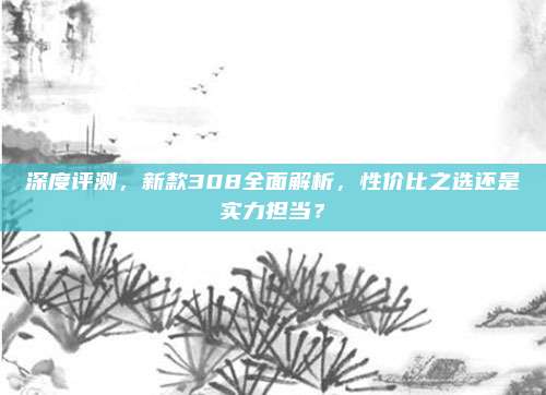 深度评测,新款308全面解析,性价比之选还是实力担当?