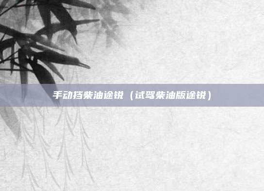 手动挡柴油途锐（试驾柴油版途锐）