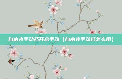 自由光手动挡开启手动（自由光手动挡怎么用）