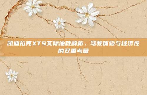 凯迪拉克XTS实际油耗解析，驾驶体验与经济性的双重考量