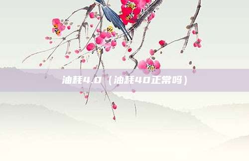 油耗4.0（油耗40正常吗）