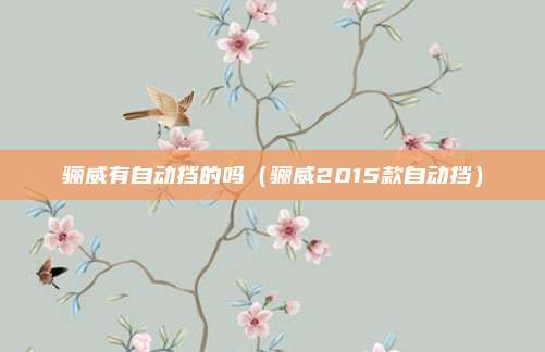 骊威有自动挡的吗（骊威2015款自动挡）